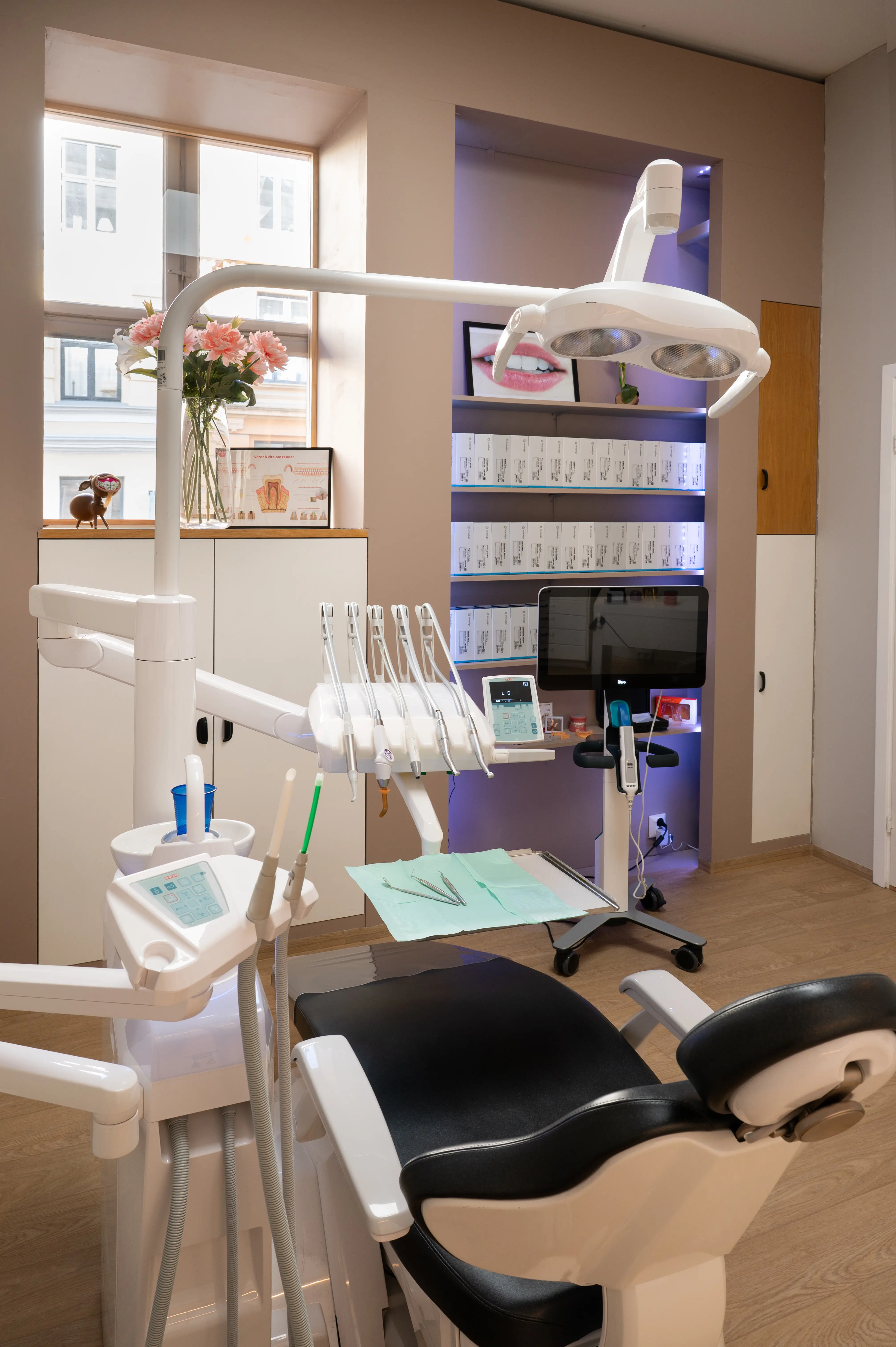 Behandlingsrom hos Ortocreative