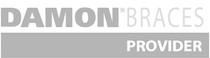 Damon provider logo